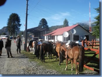 Border control in hile, on the Crossing the Andes on Horseback in Northern patagonia Trail