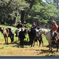 Phil and friends on horseback on a trailride crossing the Andes riding both Chile and Argentina
