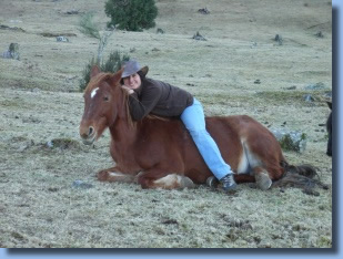 Alejandra sitting on a horse lying down .